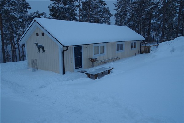 V&aring;rt hundhus