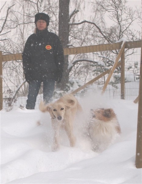 Karin, Velika, Steffie i sn&ouml;