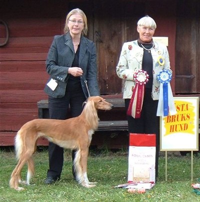 BIS bruks Lena St&aring;lhandske