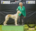 Club Winner 2014.jpg